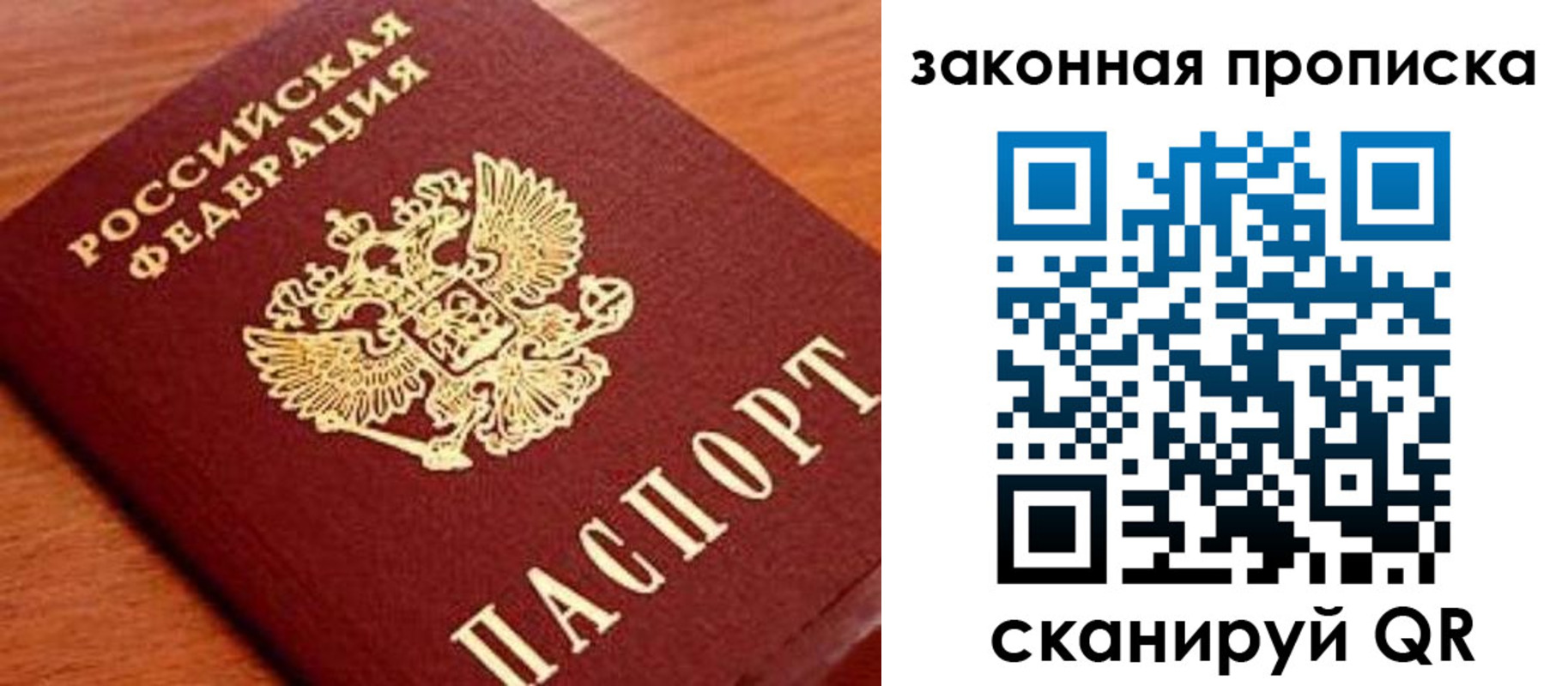 прописка законно в Оленегорске